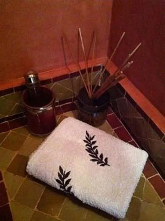 Riad Noor Charana Marrakesh 3*,  Morocco